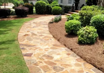 Backyard Landscaping